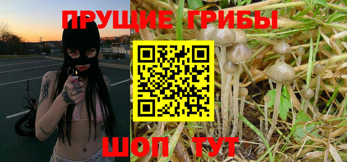 Псилоцибиновые грибы Psilocybe  купить закладку  Галлюциногенные грибы ЛСД  Ступино  Вход с VPN 